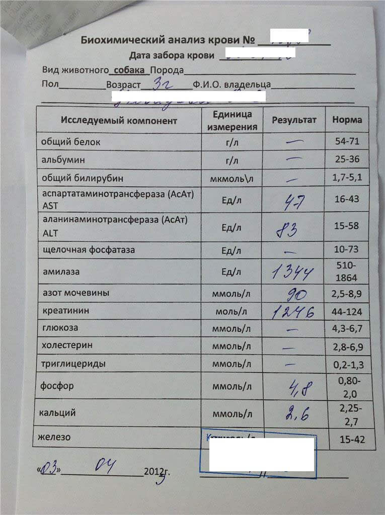 купить биохимический анализ крови в Москве по форме 228/у
